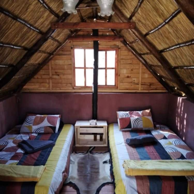 Hotel Shik Shack Backpackers Guernsey Nature Reserve Zewnętrze zdjęcie